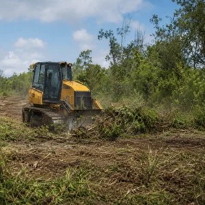 A bulldozer pushes thick brush and vegetation during land clearing services on an overgrown rural property
