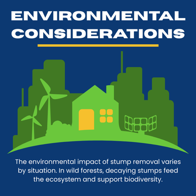 Infographic showing environmental considerations of stump removal, contrasting urban landscaping needs with forest biodiversity benefits