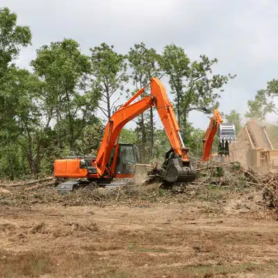 Heavy excavators remove brush and trees, performing early stages of grading and leveling in forested area