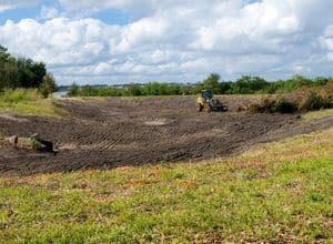 Land clearing and brush removal also prevent fire hazards. 