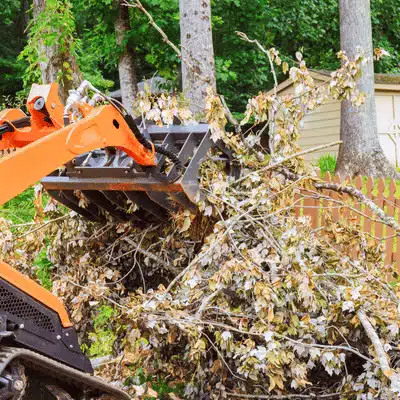 Compact loader lifts fallen branches and debris, providing land clearing services in residential wooded backyard