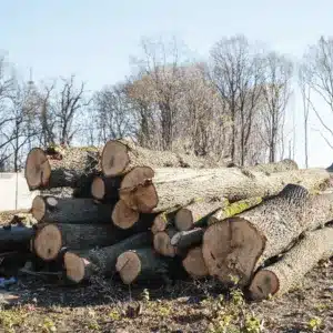Cut logs stacked neatly at a cleared site, showing results of commercial land clearing work