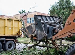 Expert tree removal services offer many benefits. 