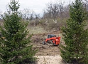 There are several things to know before clearing land. 