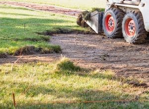 Clearing plants and trees need the help of site preparation contractors.